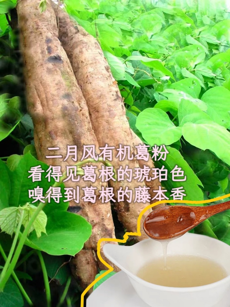 二月風(fēng)有機(jī)葛粉，看得見葛根的琥珀色，嗅得到葛根的藤本香_副本.jpg
