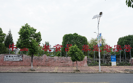 當(dāng)定制葛粉時(shí)，我們真正在選擇什么？