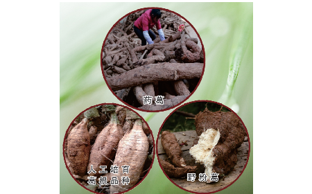 買葛粉是買野生的好？還是野生有機(jī)的好？