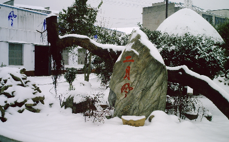 二月風(fēng)致老友：一碗葛根粉的牽掛，農(nóng)博會(huì)上的重逢之約二月風(fēng)盼老友：農(nóng)博會(huì)上，再續(xù)葛粉情緣